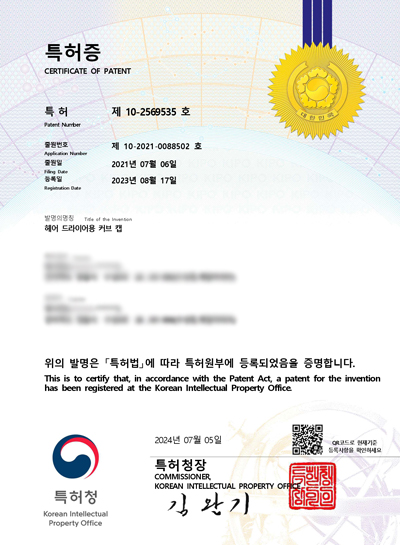 헤어 드라이어용 커브 캡